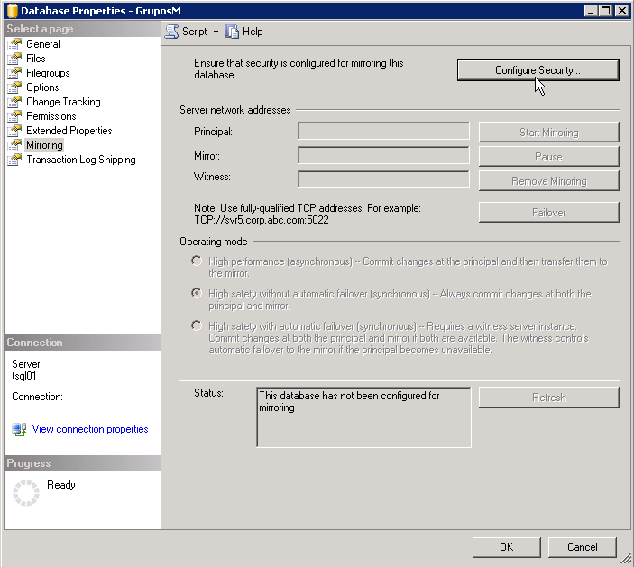 Plataforma de SQL en Espejo con testigo