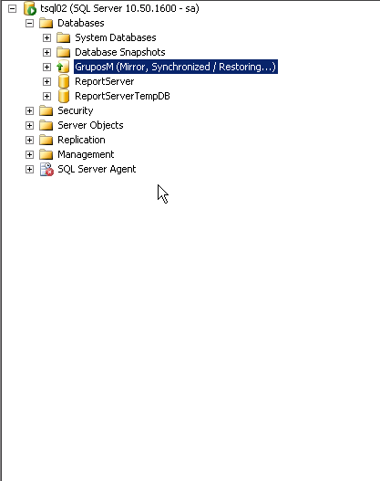 Plataforma de SQL en Espejo con testigo