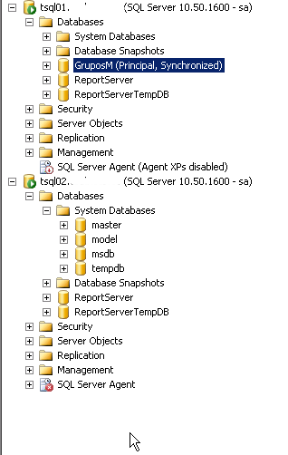 Plataforma de SQL en Espejo con testigo